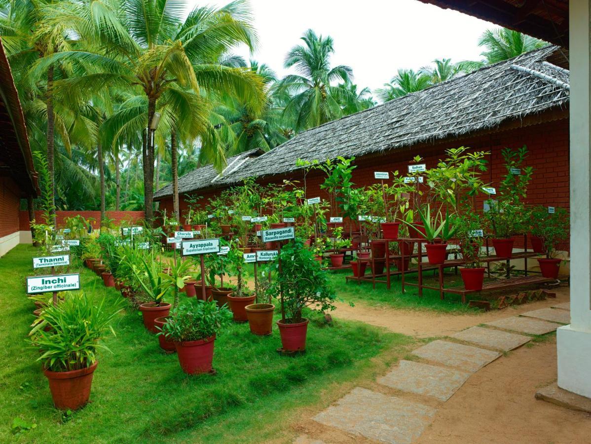 The Nattika Beach Resort Thrissur Kültér fotó